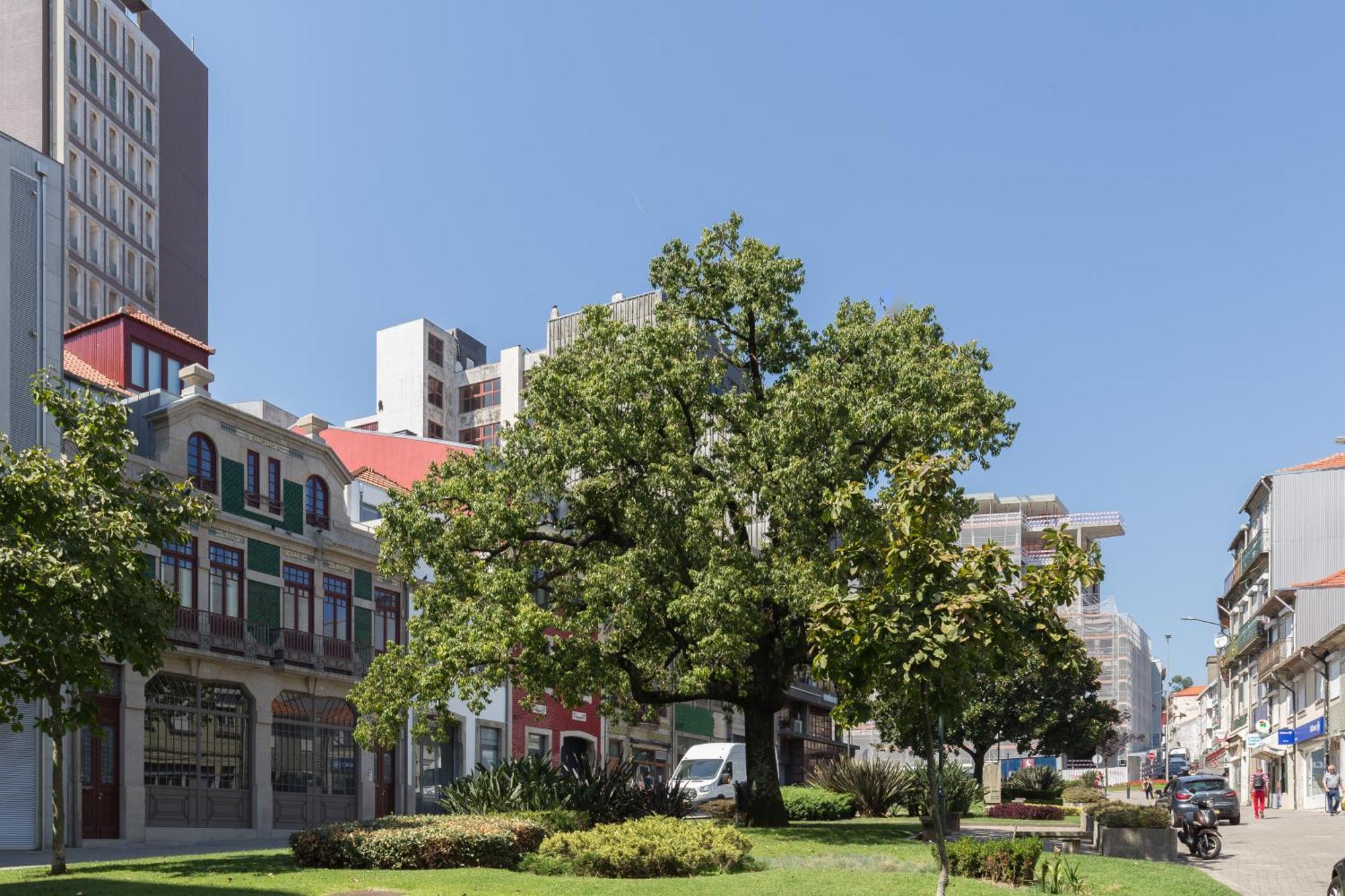Qp Apartments Trindade Porto Exterior foto